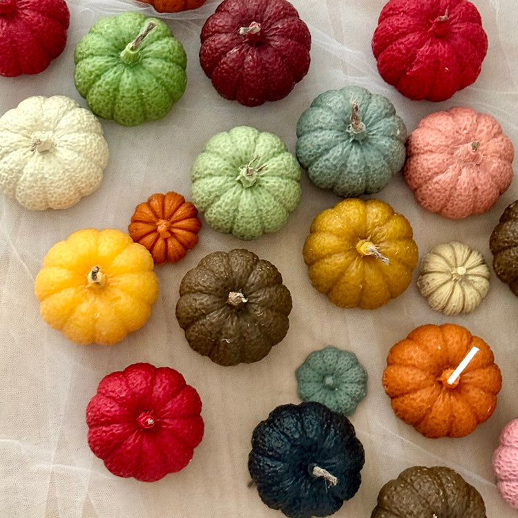 Otoño Vibee — Edición Limitada