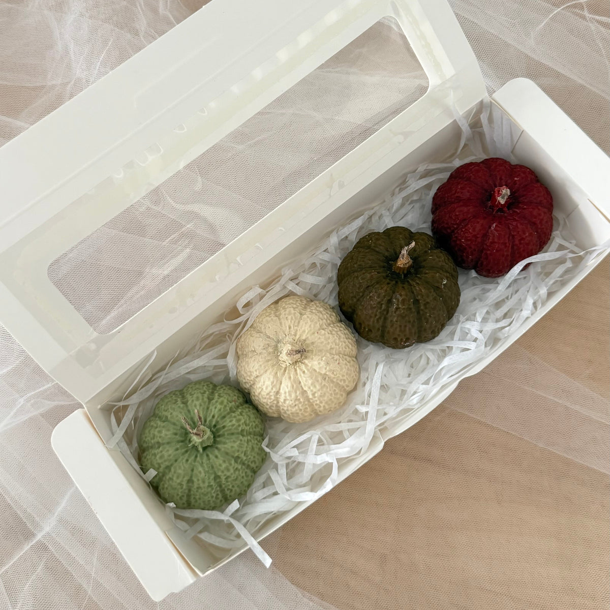 Pumpkin Vibes — Botanical Mood