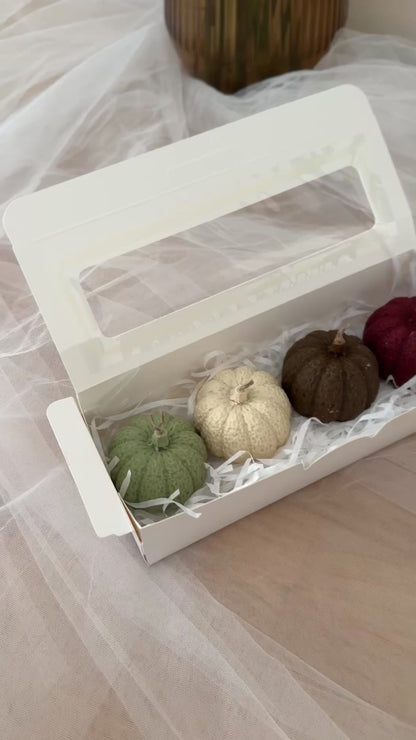 Pumpkin Vibes — Botanical Mood